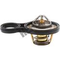 Termostato, refrigerante HEPU - TM1293