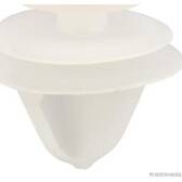 Clip HERTH+BUSS ELPARTS - 50267230