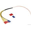 Kit de réparation de câble, hayon HERTH+BUSS ELPARTS - 51277293