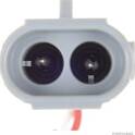 Krukassensor HERTH+BUSS ELPARTS - 70610038