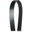 Courroie d'accessoire HERTH+BUSS JAKOPARTS - J1071933