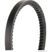 Poly V-riem HERTH+BUSS JAKOPARTS - J1010800