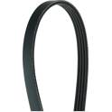 Poly V-riem HERTH+BUSS JAKOPARTS - J1040890