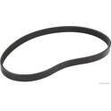 Poly V-riem HERTH+BUSS JAKOPARTS - J1050715