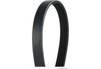 Poly V-riem