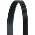 Poly V-riem HERTH+BUSS JAKOPARTS - J1051356