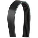 Poly V-riem HERTH+BUSS JAKOPARTS - J1051398