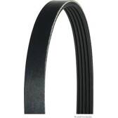 Poly V-riem HERTH+BUSS JAKOPARTS - J1051588
