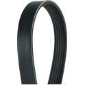 Poly V-riem HERTH+BUSS JAKOPARTS - J1060860