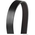 Poly V-riem HERTH+BUSS JAKOPARTS - J1061033