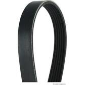 Poly V-riem HERTH+BUSS JAKOPARTS - J1061050