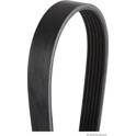 Poly V-riem HERTH+BUSS JAKOPARTS - J1061263