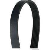 Poly V-riem HERTH+BUSS JAKOPARTS - J1061305