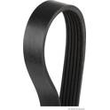 Poly V-riem HERTH+BUSS JAKOPARTS - J1061580
