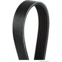 Poly V-riem HERTH+BUSS JAKOPARTS - J1061590