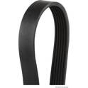 Poly V-riem HERTH+BUSS JAKOPARTS - J1061693