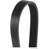 Poly V-riem HERTH+BUSS JAKOPARTS - J1061965