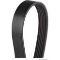 Poly V-riem HERTH+BUSS JAKOPARTS - J1062093