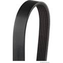 Poly V-riem HERTH+BUSS JAKOPARTS - J1062196