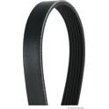 Poly V-riem HERTH+BUSS JAKOPARTS - J1062285