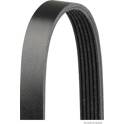 Poly V-riem HERTH+BUSS JAKOPARTS - J1062500