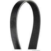 Poly V-riem HERTH+BUSS JAKOPARTS - J1081172