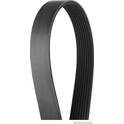 Poly V-riem HERTH+BUSS JAKOPARTS - J1081295