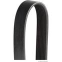 Poly V-riem HERTH+BUSS JAKOPARTS - J1082410