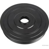 Poulie damper HERTH+BUSS JAKOPARTS - J1093009