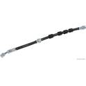 Remslang HERTH+BUSS JAKOPARTS - J3703139