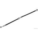 Remslang HERTH+BUSS JAKOPARTS - J3708069