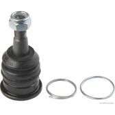 Rotule de suspension HERTH+BUSS JAKOPARTS - J4862039