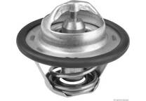 Thermostat d'eau