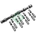 Camshaft Kit INA - 428 0041 30