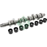 Camshaft Kit INA - 428 0042 30
