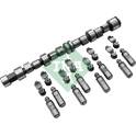 Camshaft Kit INA - 428 0043 30