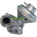 EGR Valve INTFRADIS - 2585