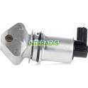 EGR Valve INTFRADIS - 25962