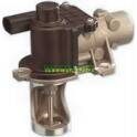 EGR Valve INTFRADIS - 2597
