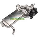 EGR Valve INTFRADIS - 25983