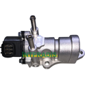 EGR Valve INTFRADIS - 25994