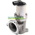 Valvola EGR INTFRADIS - 25604