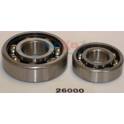 Wheel Bearing Kit JAPKO - 426000