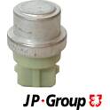Sonde de température (liquide de refroidissement) JP GROUP - 1197000100