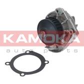 Bomba de água, arrefecimento do motor KAMOKA - T0118