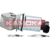 EGR Valve KAMOKA - 19017