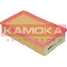 Filtre à air KAMOKA - F208501