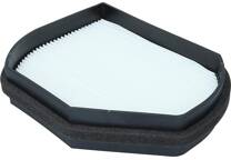 Filtro, Aria abitacolo