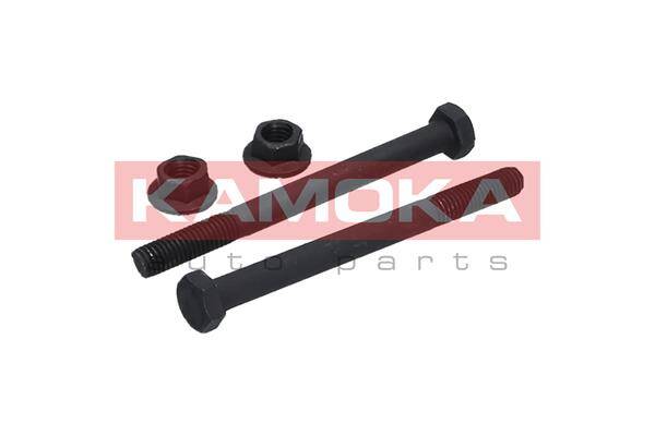 Mounting and Bolting Kit, control/trailing arm