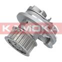 Pompa dell’acqua, raffreddamento motore KAMOKA - T0069